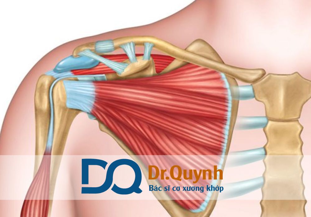 Nếu còn băn khoăn về chi phí hay quy trình điều trị, bạn có thể liên hệ trực tiếp với CHUYÊN GIA, BÁC SĨ CKI LÊ VĂN QUỲNH để được hỗ trợ chi tiết và kịp thời.